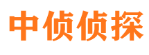 嵩县侦探公司